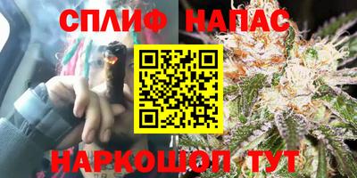 спайс Кинель