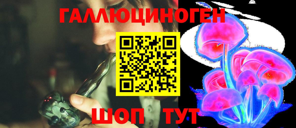 Псилоцибиновые грибы Psilocybine cubensis Чебоксары