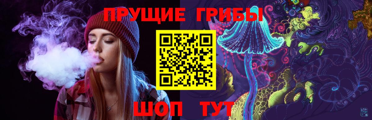Псилоцибиновые грибы Psilocybe  Вход с VPN  Чебоксары 